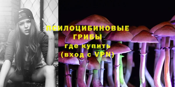 дмт Армянск