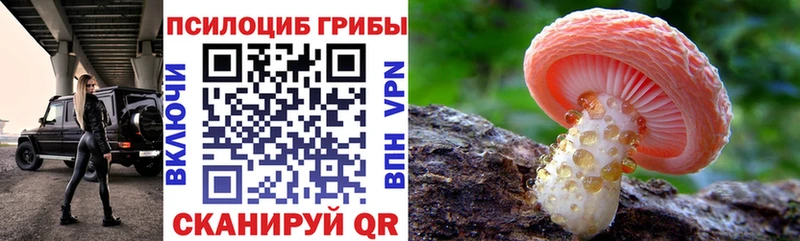 Галлюциногенные грибы MAGIC MUSHROOMS Ртищево